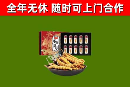 东港区回收冬虫夏草价格