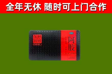 东港区回收阿胶