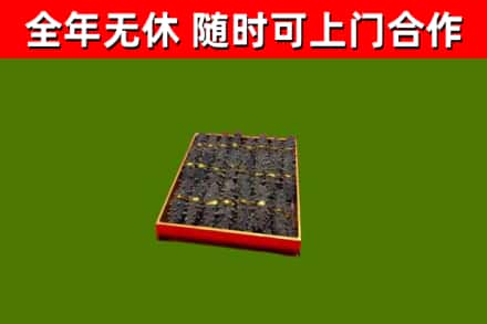 东港区回收海参